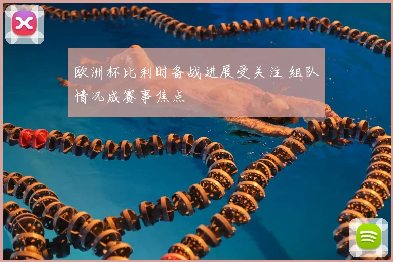 欧洲杯比利时备战进展受关注 组队情况成赛事焦点